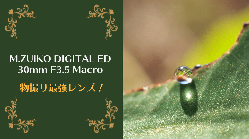 【レビュー】寄れる物撮り最強マクロレンズ！M.ZUIKO DIGITAL ED 30mm F3.5 Macroの魅力