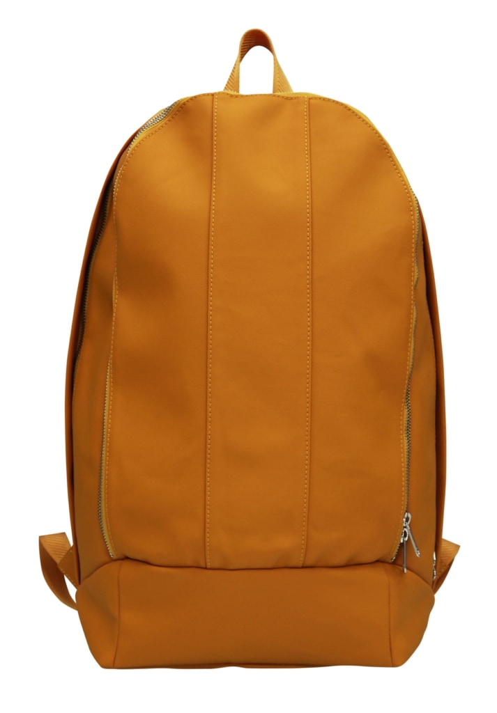 delamarge backpack